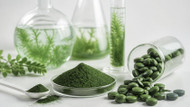 Chlorella Purity: Why Heavy Metal Testing Matters
