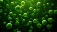 Microalgae: The Green Superfood Powering the Future of Nutrition