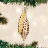 Junonia Shell ornament