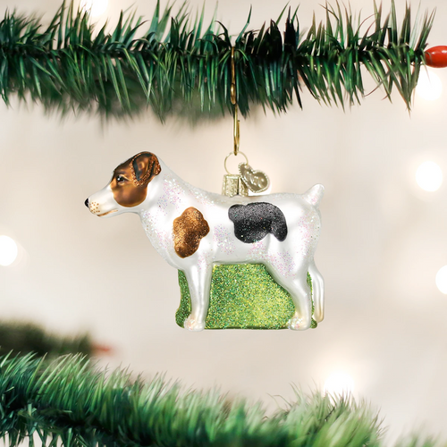 Jack Russell Terrier ornament