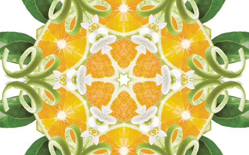 500ml Zest of Green Orange fuel