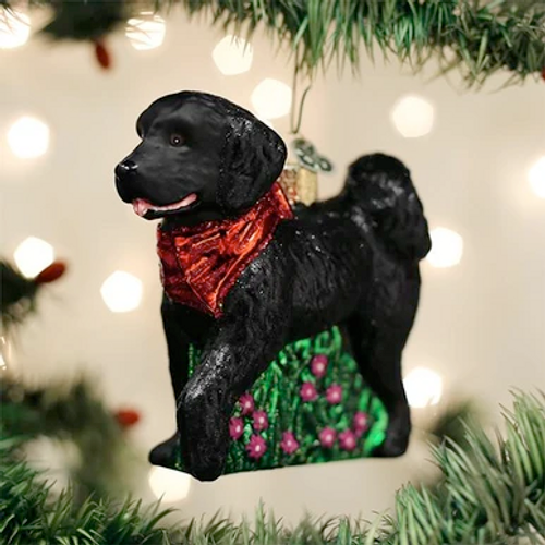 Black Doodle Dog ornament