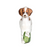 Brittany Spaniel ornament