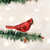Shiny Red Northern Cardinal ornament (clip on)