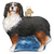 Bernese Mountain Dog ornament