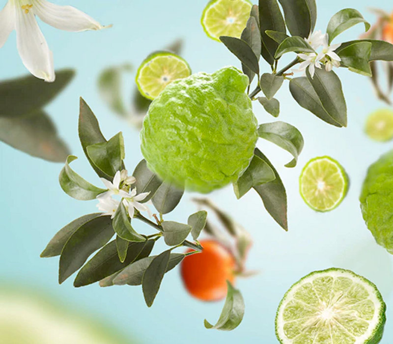 Radiant bergamot clearance