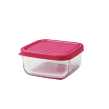 Single Glass Baby Food Cube / PINK (FREE SHIP)