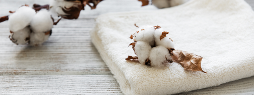 What Makes a Great Germ-Killing Towel?