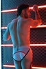 Breedwell - Locker Room Briefs - Grey