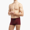 2(X)IST - Essential Cabo Swim Trunk - Burgundy