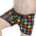 BEAR SKN - Bamboo Boxer Brief - Pride Backwoods 3.0