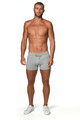 ST33LE - Vault Gym-Tech 3.5" Stretch Shorts - Grey