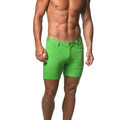 ST33LE - 5" Stretch Knit Shorts - Spring Green