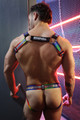 Breedwell - Pride Reflector Harness