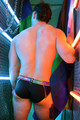 Breedwell - Pride Reflector Brief