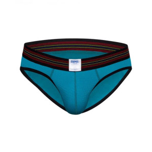 Bike - Mesh Brief - Teal