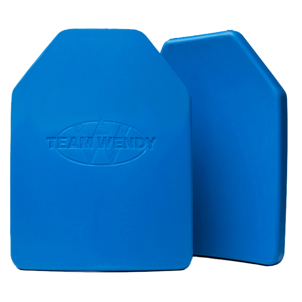 【最終値下げ】チームウェンディ　トレーニングプレート（2枚セット） Team Wendy リアルウェイトダミープレート（2枚組）重さ 2.3kg