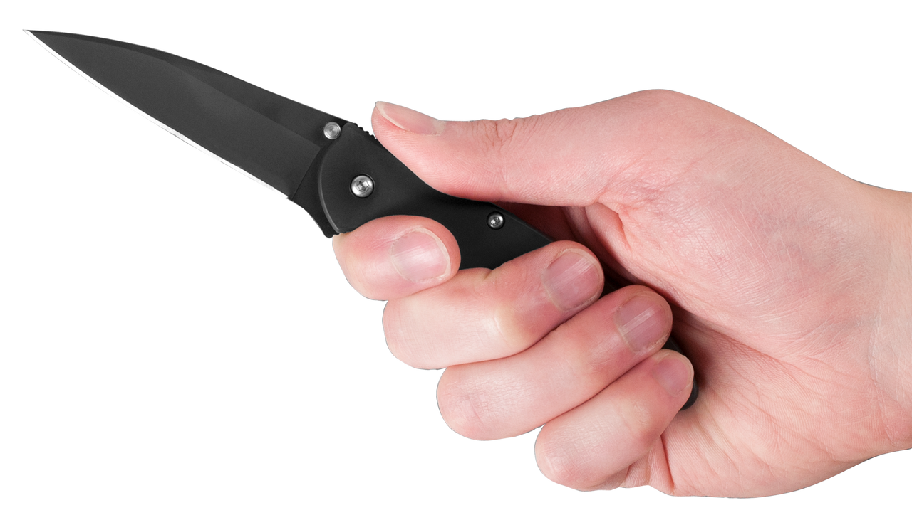 Kershaw Leek Assisted Opening Knife (3" Black)