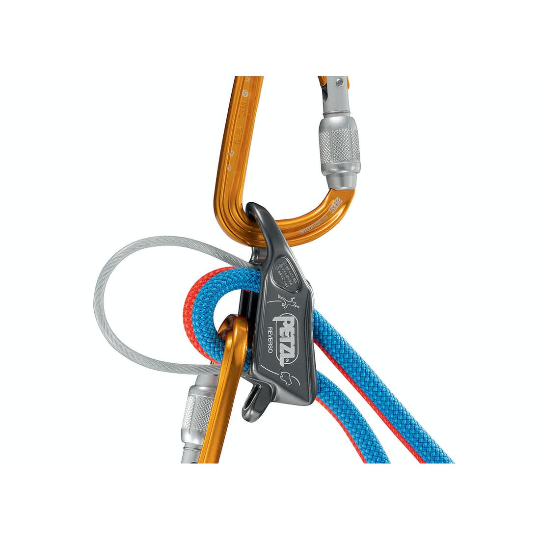 Petzl Reverso Belay Device