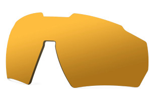 Polarized Ballistic - Gold w/ Anti-Fog