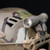 Thyrm VariArc Helmet Mount Thyrm VariArc Helmet Mount