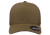Olive-Front Olive-Front