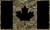 Multicam Multicam