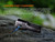 Fenix LR35R PRO 10K Lumen Rechargeable LED Flashlight