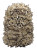 NUTSOF - Southerner Pack Scrim (30-75L) Camouflage