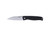 Ruike P662-B Liner Lock Knife Black G-10 (2.91" Satin)