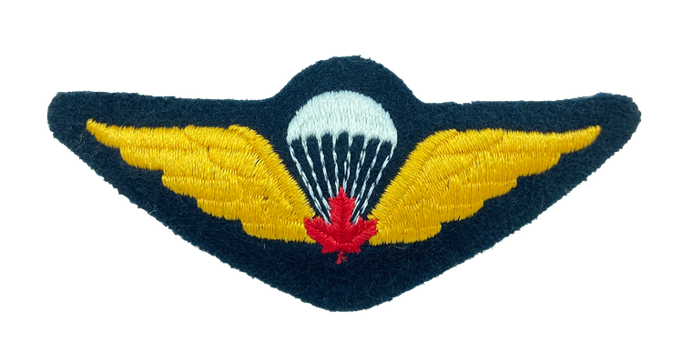 DS Tactical CF Para Wings Qualified Jumper Badge