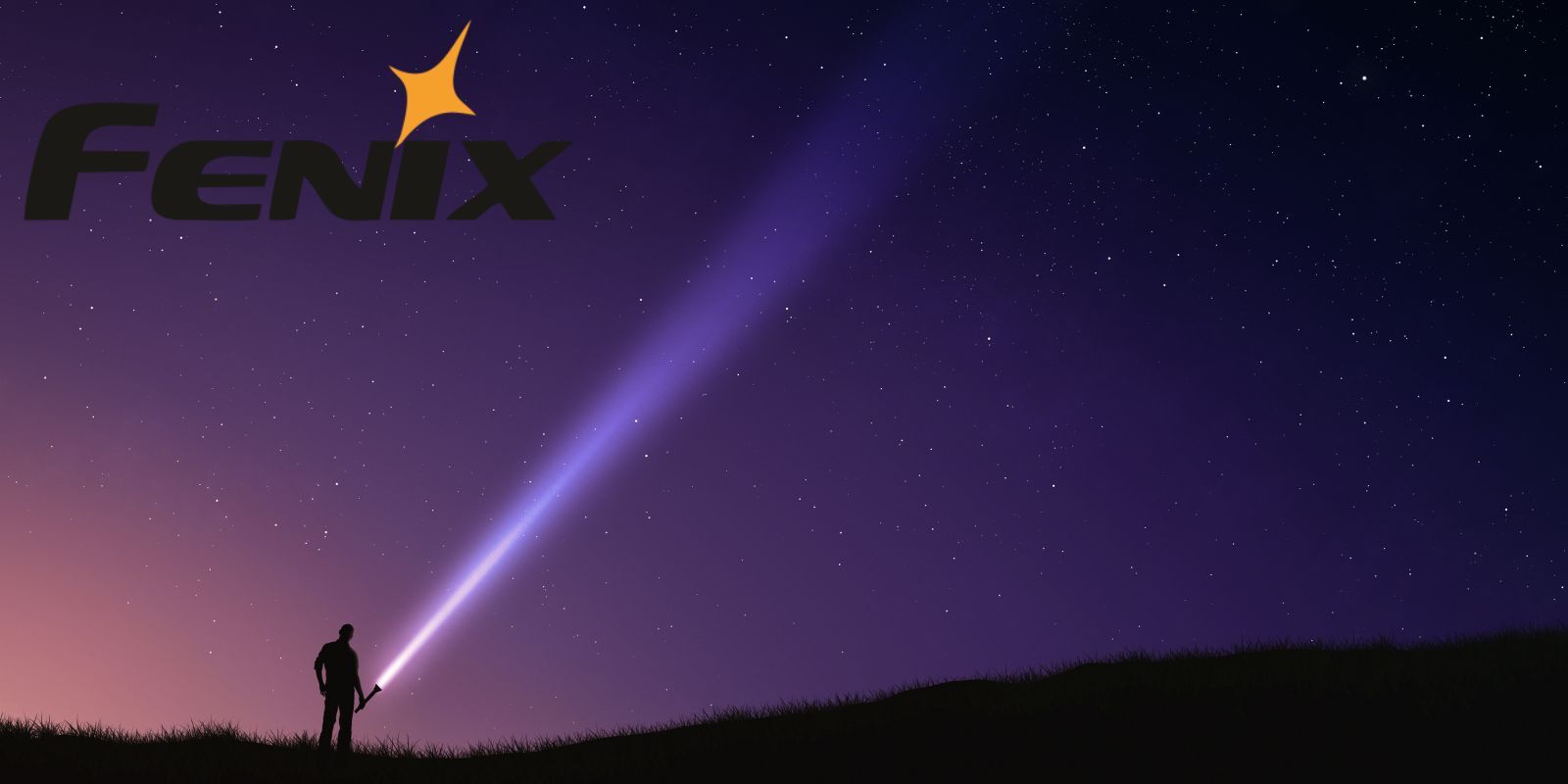 fenix-banner-2.jpg