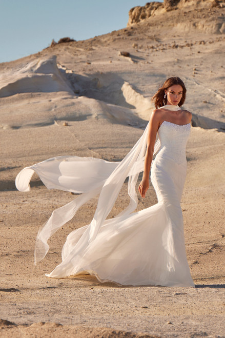 MJ1205-CP77-Destiny-01|Destiny