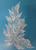 C691 APP #HD11490 (JBME203138-1)