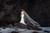 DV23-D360-Ariel-03|Ariel