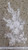 R3656 APP #XC1052SYM-2