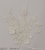 C732 APP #CMB8129-R