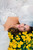 CP63-F327-08|08