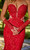 PS24113-RED-03