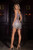 PS25459C-Silver Nude-03|03