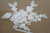 A1365 APP #C210773