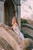 D286-Rapunzel-AD6|AD6