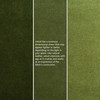 Olive Green : V036 Swatch 3