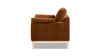 Pasadena 36" Wide Modern Farmhouse Accent Arm Chair, Burnt Orange Performance Velvet