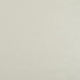 Parchment Cream Off-White : WFC Swatch 2