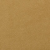 Gold : 959 Velvet
