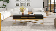 Kingsly 51" Contemporary Glam Storage Coffee Table, Espresso Black 1