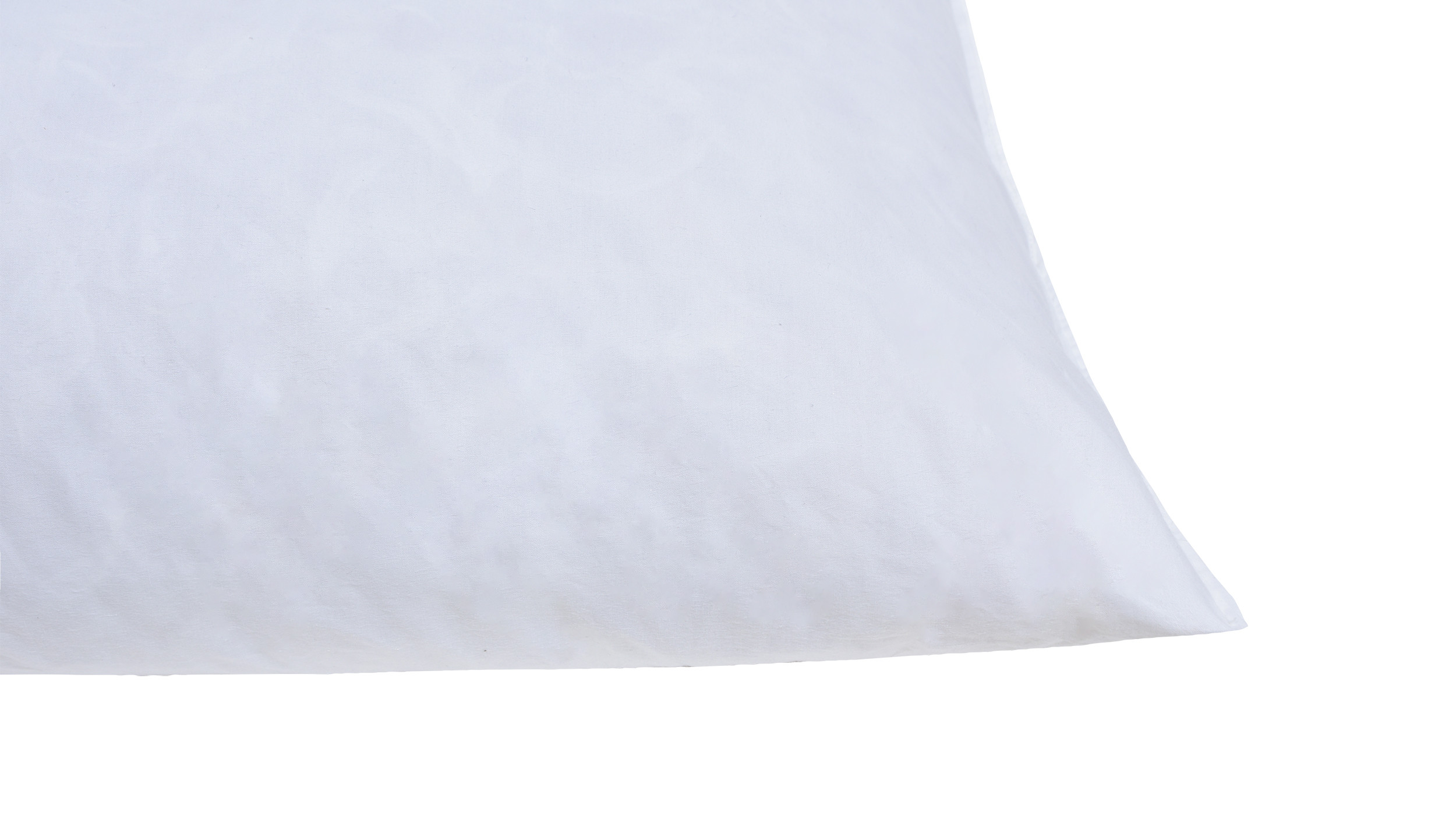 24 x 36 25/75 Down Feather Pillow Form - PillowCubes