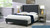 Adonis Tall Wingback Queen Platform Bed Frame, Steel Gray 7