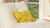 La Broderie 20" Square Embroidered Throw Pillow & Feather Down Insert, Brushstroke Yellow